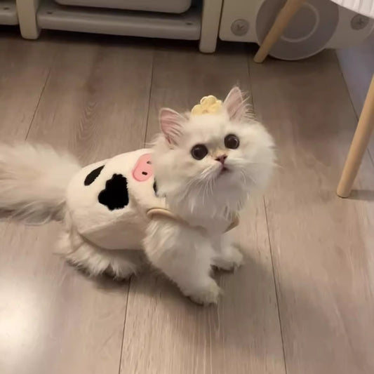 Cat Hair Loss Prevention Winter Vest | Windproof Soft Polyester Vest for Indoor Comfort and Outdoor Use, Suitable for All Breeds, Machine Washable