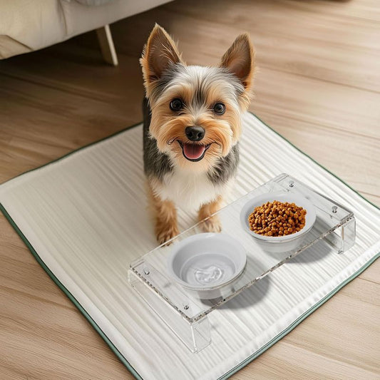 Elevated Ceramic Cat & Dog Food\Water Bowl - Raised Tilted Feeder with Non-Slip Base, Heavy-Duty Ceramic Dish for Pets, Easy-Clean for all Small Dogs & Cats