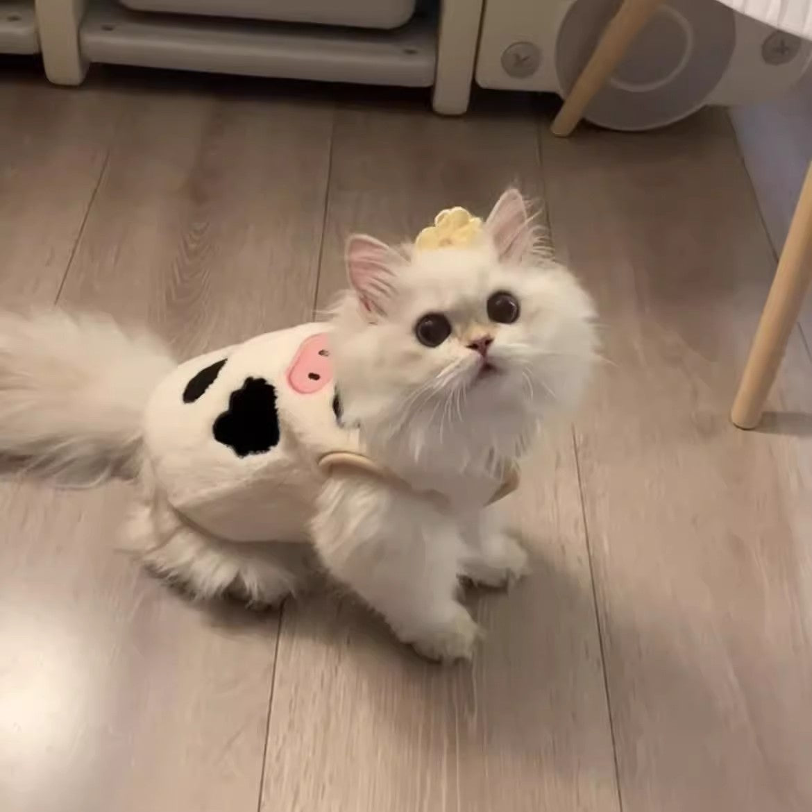 Cat Hair Loss Prevention Winter Vest | Windproof Soft Polyester Vest for Indoor Comfort and Outdoor Use, Suitable for All Breeds, Machine Washable