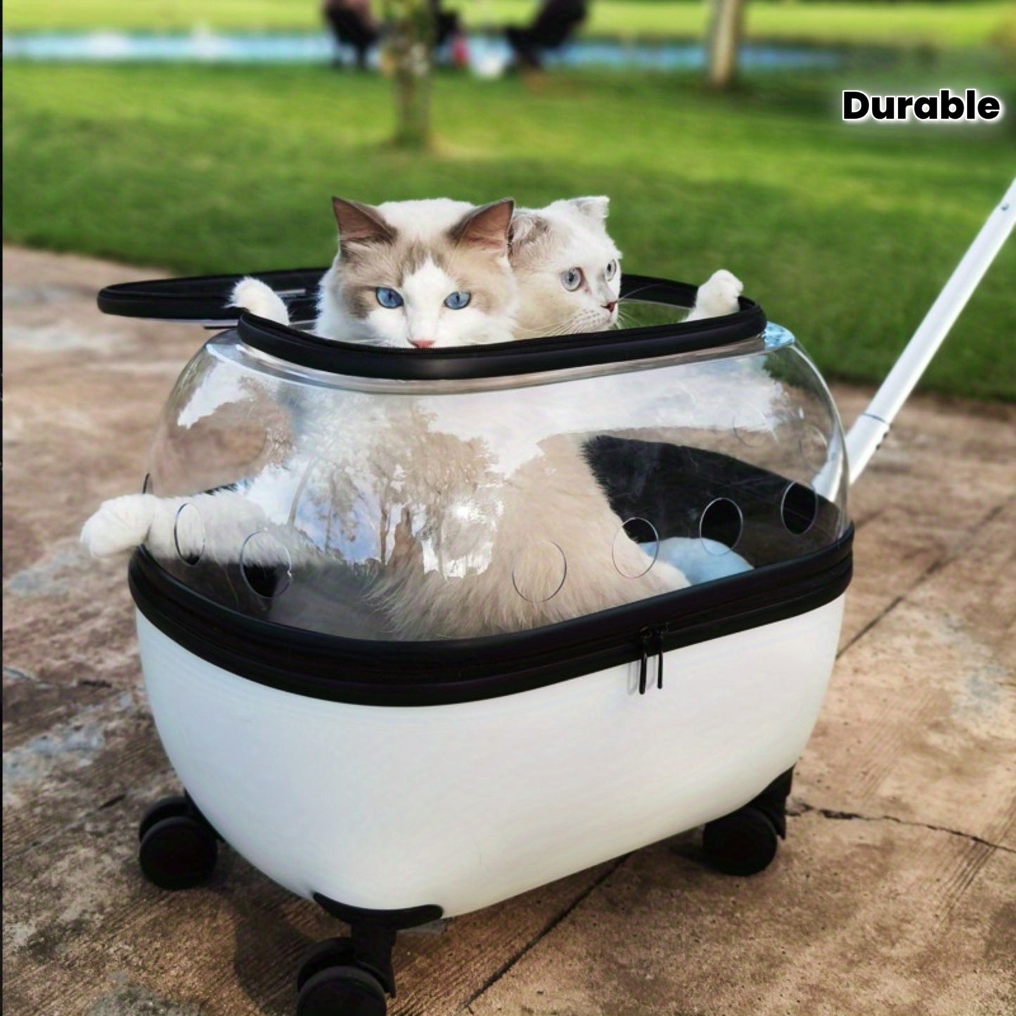 Portable Pet Large Capacity Cat Carrier with Rolling Wheels | Durable Plastic Frame | Portable Pet Stroller for Outdoor Adventures, Traveling Cats | Modern Cat Carrier | Durable Plastic Frame, Cat Accessories