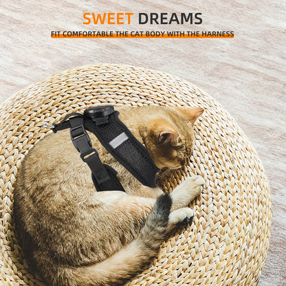 Set of for cat Harness And Leash Featuring an Airtag Holder - Escape-Resistant Reflective Vest, Adjustable for Cats And Kittens (Secure Fit, Airtag Not Included)