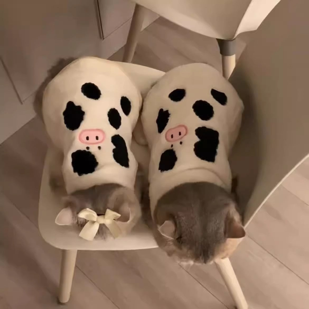 Cat Hair Loss Prevention Winter Vest | Windproof Soft Polyester Vest for Indoor Comfort and Outdoor Use, Suitable for All Breeds, Machine Washable