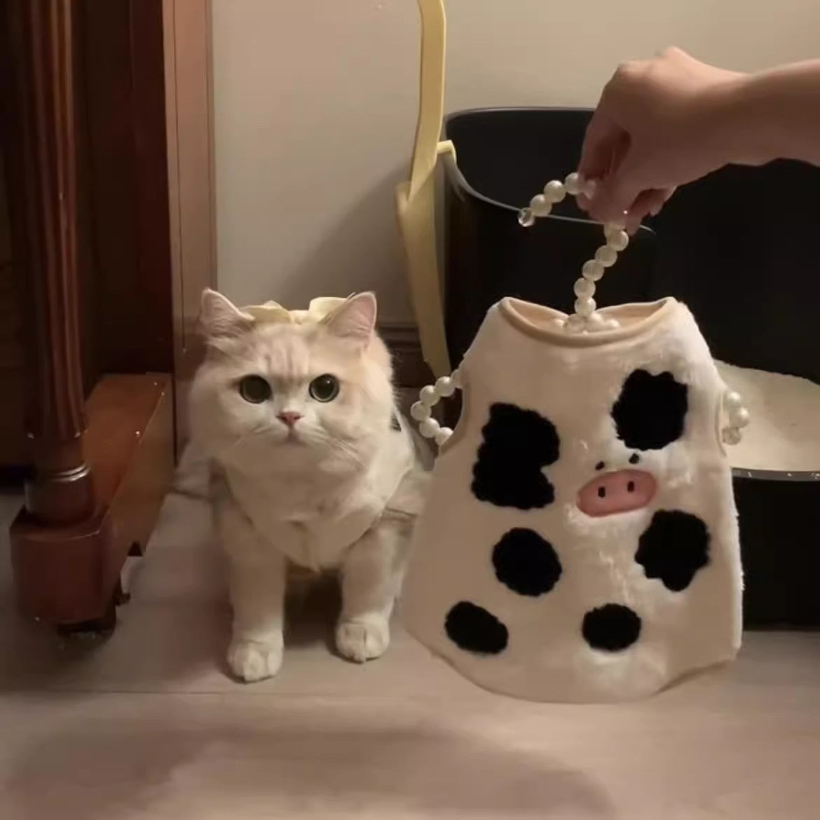 Cat Hair Loss Prevention Winter Vest | Windproof Soft Polyester Vest for Indoor Comfort and Outdoor Use, Suitable for All Breeds, Machine Washable