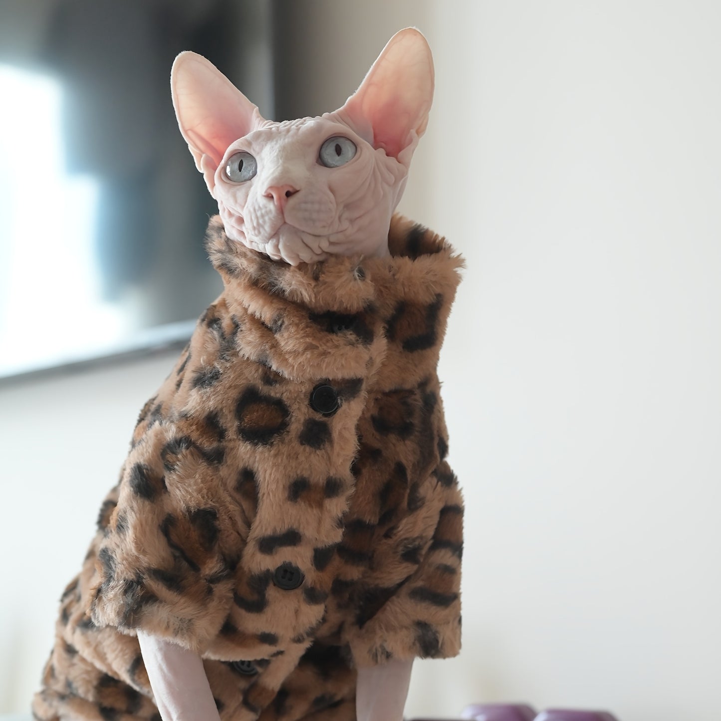 Leopard Print Plush Coat, Double-Layer Thickened Warm, Suitable for Sphynx Cats, German Cats, Abyssinian Cats, and Kittens