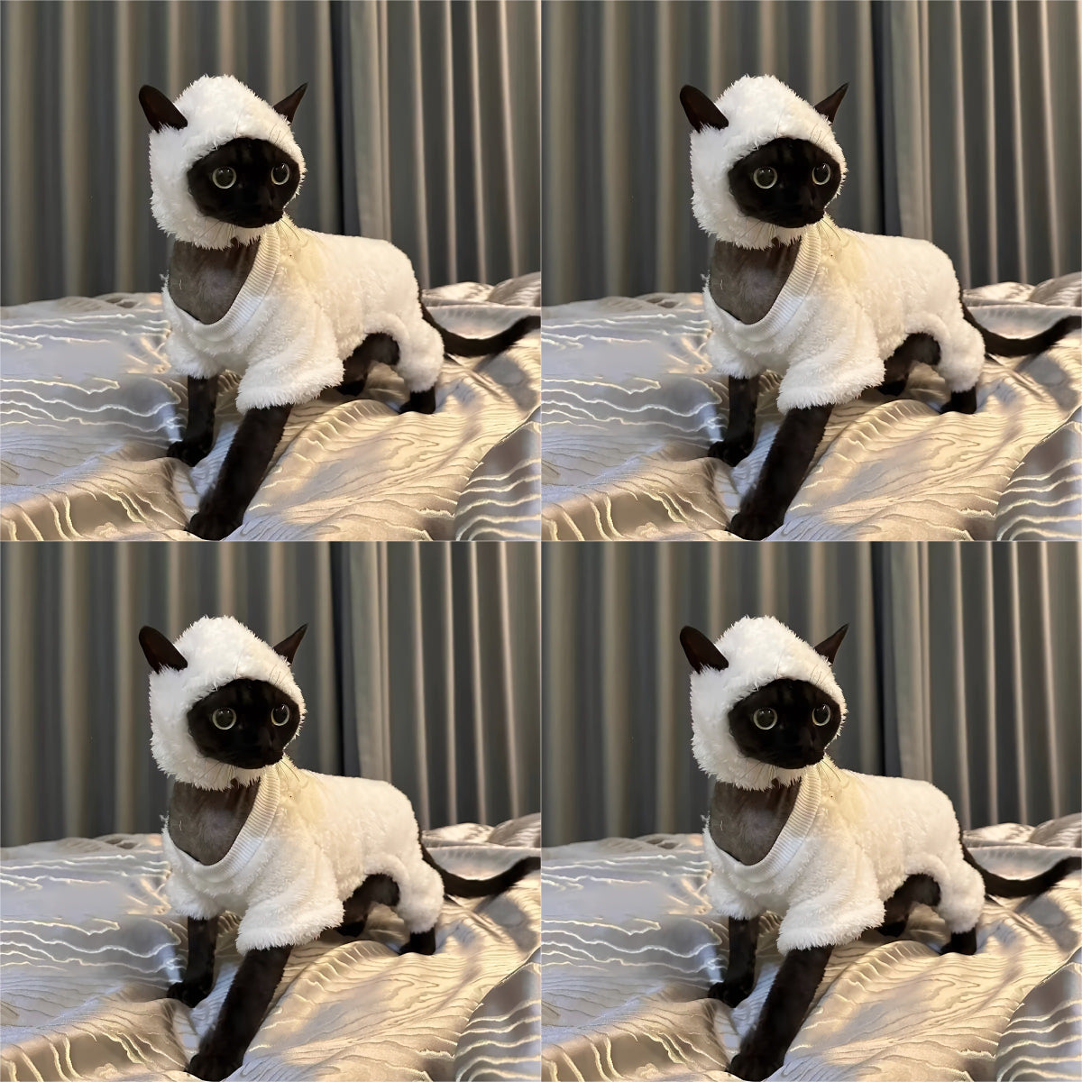 3pcs Cute Lamb Patrick Cat Clothes, Plush Fleece-Lined Winter Coat & Hat Set for Small Medium Large Cats, Warm Autumn Apparel with Puff Sleeves, Hand Wash Only Pet Costume