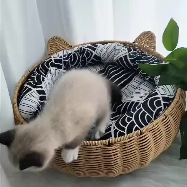 Cute Pet Bed Cute Round Pet Bed with Ears | Designed for Cats And Pets